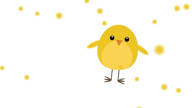 simple video animation yellow Easter chicken