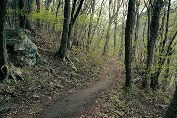 Naklejka premium The mountain road that goes around