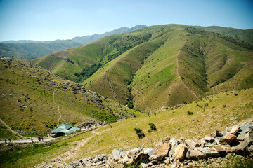 Fototapeta na wymiar Green landscape in Samarkand region