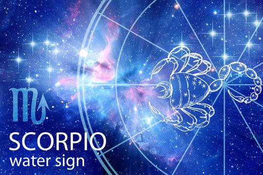 astrology zodiac sign Scorpio Scorpion with the symbol, picture,  horoscope, stars and nebula in blue color like astrological concept