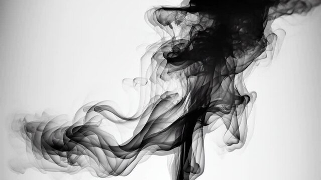 Black smoke isolated on white background. Motion.