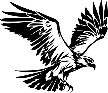 Osprey - Black and White Isolated Icon - Vector illustration