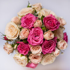 Happy 8 March International Women's Day with a nice shot of carefully selected roses.