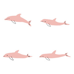 Nautical Dolphin. Sea Underwater animal. Vector illustration