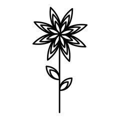 PNG image icon of flowers in lines with transparent background