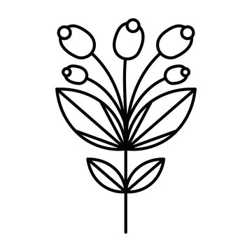 PNG image icon of flowers in lines with transparent background