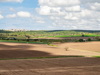 Fototapeta na wymiar Farming Fields in North Israel near Haifa