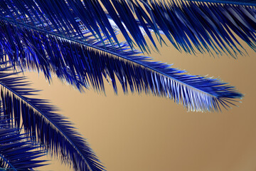 Colorful palm branches, palm tree leaves against the sky, juicy tropical background	