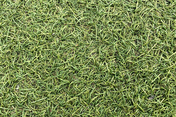 Artificial lawn grass close up, green plastic grass texture