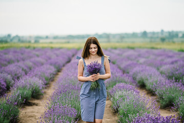 Beautiful girl hold bouquet purple lavender flowers in field. Female collect lavender. Woman in the lavender field. Enjoy the floral glade, summer. Down view. Close up