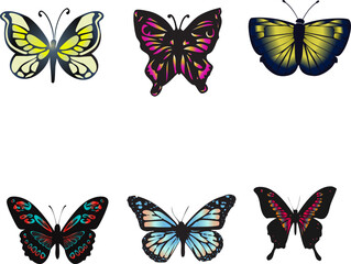 Fototapeta na wymiar vector of 6 different butterfly species with very pretty colors