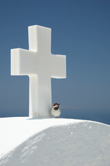 Small bird resting in shade of a cross