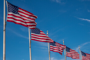 Row of American flags blowing in the wind with bright blue sky and copy space.