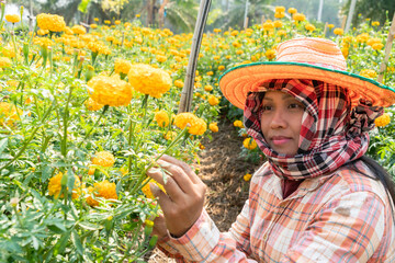 Young female farmer farming marigolds.