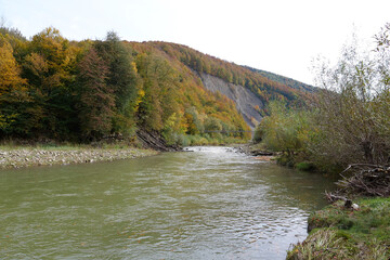 Beautiful mountain river with rapid current. Prut river and mountain folds