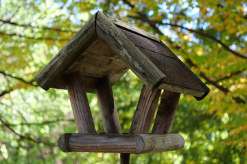 Bird feeder in the forest