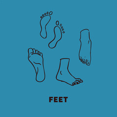 Feet Elements Graphic Vector Collection