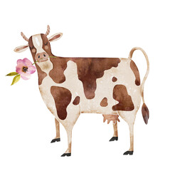 Cow with a flower in cartoon style watercolor illustration.