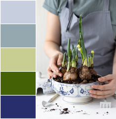 Design palette inspired by beautiful woman doing spring home gardening. Designer pack with photo and swatches. Harmonious trendy pastel colour combination: green, blue, grey