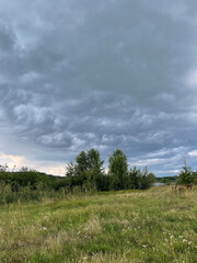 Obraz premium clouds over the forest