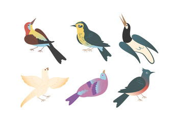 Common Indian Birds