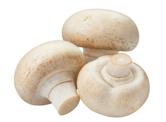 Delicious champignon mushrooms cut out