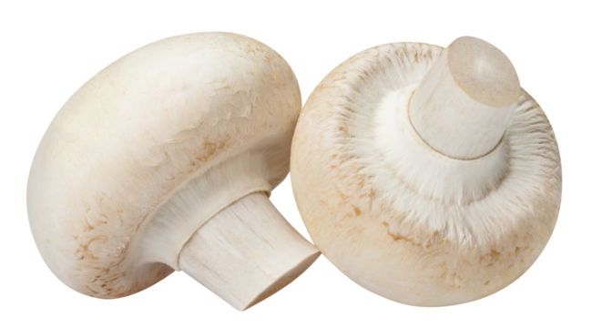 Delicious champignon mushrooms cut out