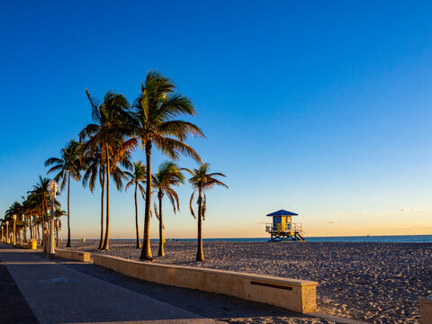 Sonnenaufgang mit Palmen am Strand von Hollywood Beach, Florida