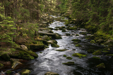 creek in the forest of sumava