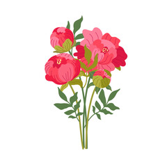 Bouquet of elegant blooming peonies. Vector flat illustration. Romantic peony isolated on white. Gorgeous flowers for botanical floristic decor, mother's day cards. Cartoon flowers