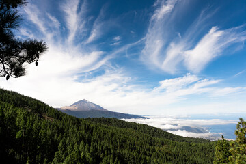 paisaje de cielo azul y pinos verdes con el impresionante Teide al centro en el amanecer