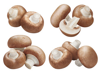 Collection of fresh champignon mushrooms, cut out