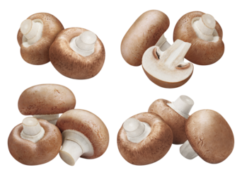 Collection of fresh champignon mushrooms, cut out