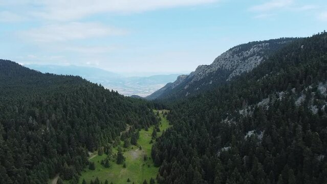 Wonderful drone flight over forest valley in the greek mountains and forest at Parnassos mountain in northern greece.
