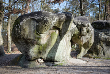 Fototapete bei efototapeten.de bestellen   
