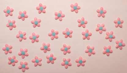 flowers isolated on white background. creative concept of spring and creativity.	