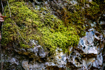 Wasserfall Bad Urach