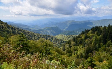 Fototapeta na wymiar Great Smoky Mountains, United States. Hills with trees, blue cloudy skies. 