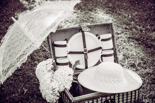 Black and white photo of romantic set with vintage picnic basket, lace sun umbrella and summer hat on park garden lawn on sunny summer day outdoors. Creative wall art concept.
