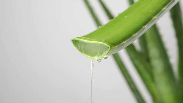 aloe vera reinigungsschaum Mizellen-Mousse Aloe Vera main image 1