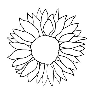 Sunflower head flower line art simple design