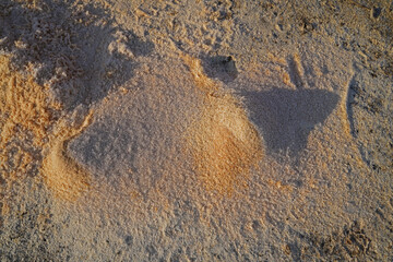 Frost flakes on sawdust on a construction site