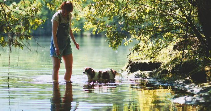 Woman playing with a dog in a lake in the forest on a summer day. Person and pet having fun in a pond on a hot morning outdoors, human and dog love and friendship. Cavalier king charles spaniel swim. 