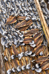 Gutted fish is dried on a metal mesh background