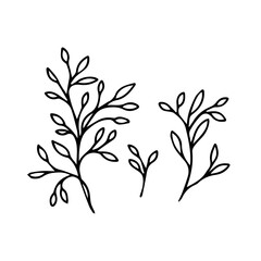 Floral simple leaves doodle style design for invitation decor