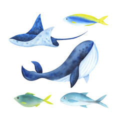 Set of marine animals painted in watercolor. Isolated illustration on a white background.