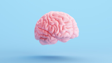 Pink Brain Anatomy Mind Intelligence Medical Organ Science Blue Background Right Quarter View 3d illustration render - obrazy, fototapety, plakaty