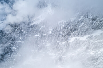 Die Wolken lichten sich und geben den Blick auf den verschneiten Tannenwald frei.