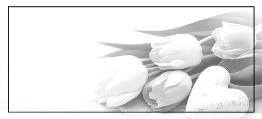 White tulips on white background with black frame.Empty place for emotional, sentimental text or quote. Black and white image AI generated - obrazy, fototapety, plakaty