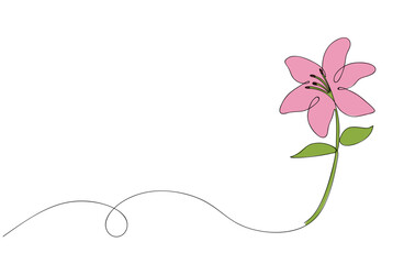 One line Lily flower isolated on white background. One single line drawing Lily flower. vector illustration